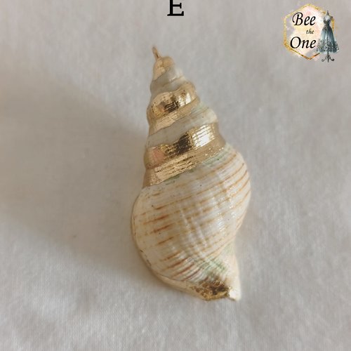 Breloque pendentif coquillage naturel buccin - modèle e (50 mm) - naturel/doré