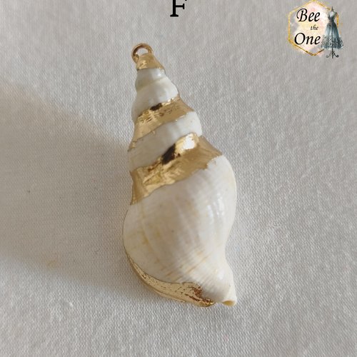 Breloque pendentif coquillage naturel buccin - modèle f (45 mm) - naturel/doré