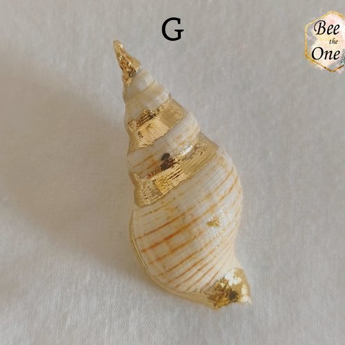 Breloque pendentif coquillage naturel buccin - modèle g (45 mm) - naturel/doré