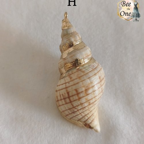 Breloque pendentif coquillage naturel buccin - modèle h (59 mm) - naturel/doré