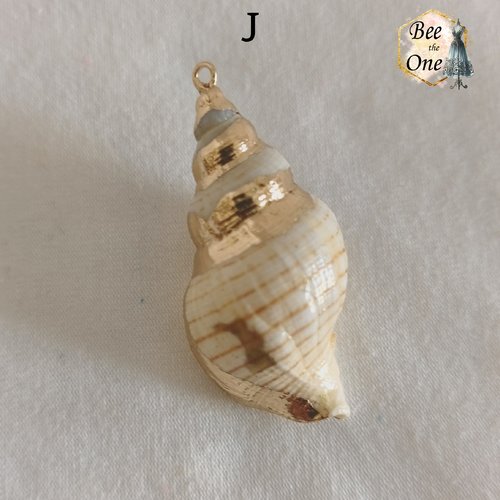 Breloque pendentif coquillage naturel buccin - modèle j (45 mm) - naturel/doré