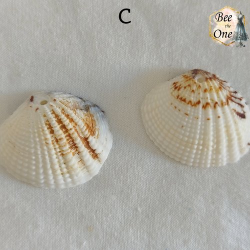 Paire de breloques pendentif coquillage naturel coque - modèle c (32 mm) - naturel