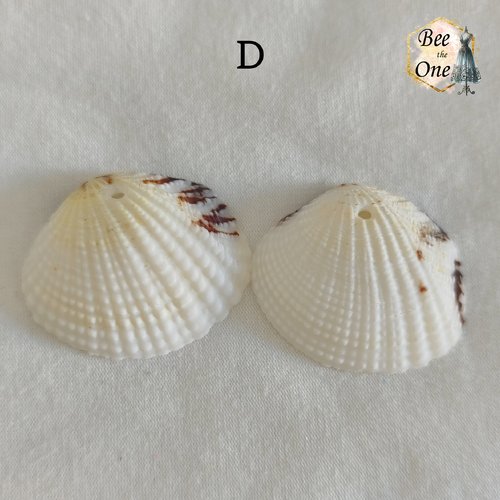 Paire de breloques pendentif coquillage naturel coque - modèle d (36 mm) - naturel