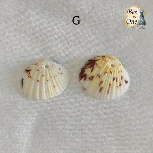Paire de breloques pendentif coquillage naturel coque - modèle g (24 mm) - naturel