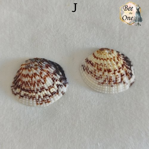Paire de breloques pendentif coquillage naturel coque - modèle j (30 mm) - naturel