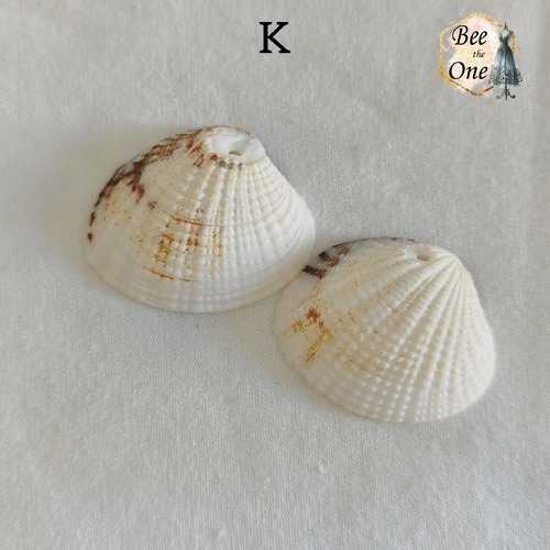 Paire de breloques pendentif coquillage naturel coque - modèle k (35 mm) - naturel