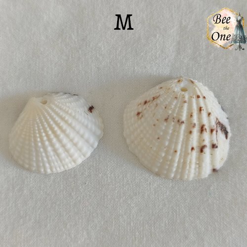 Paire de breloques pendentif coquillage naturel coque - modèle m (28 mm) - naturel