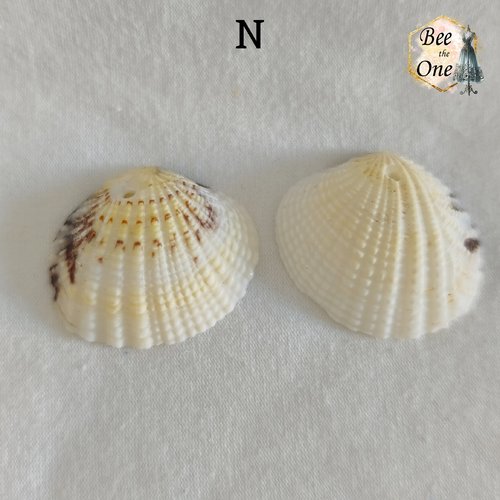 Paire de breloques pendentif coquillage naturel coque - modèle n (30 mm) - naturel