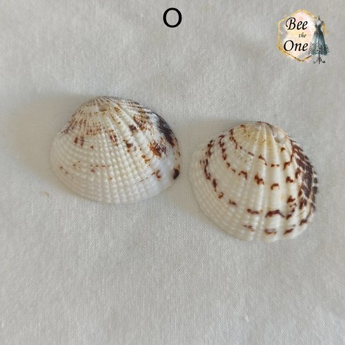 Paire de breloques pendentif coquillage naturel coque - modèle o (33 mm) - naturel