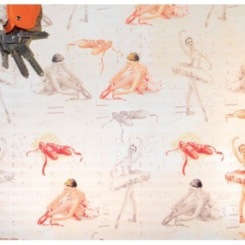 Papier danseuses - feuille format 70 x 100cm