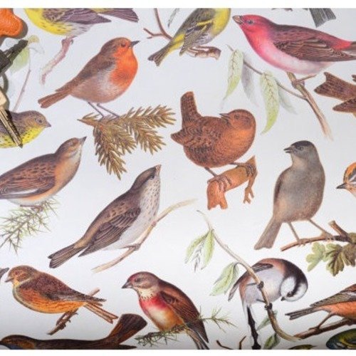 Des papiers et images digitales