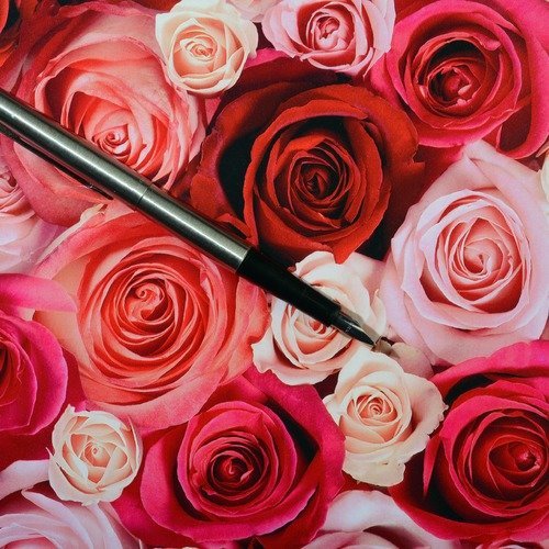 Papier cadeau rosaria – passion des rose - Un grand marché
