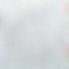 Tissu jersey coton gots - fleurs des champs - 150x100cm
