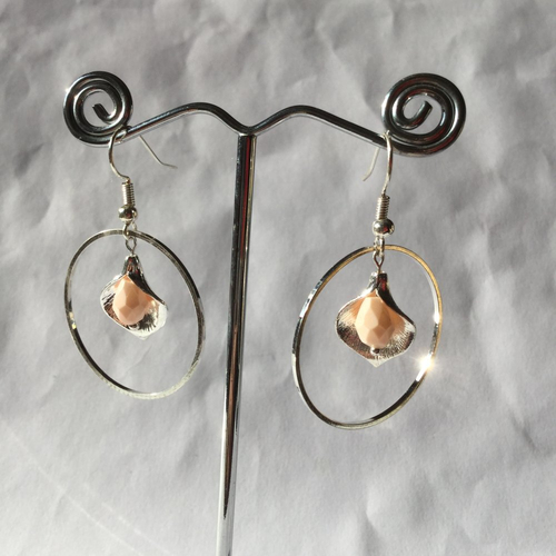 Boucles d'oreilles argentées, anneaux argentés