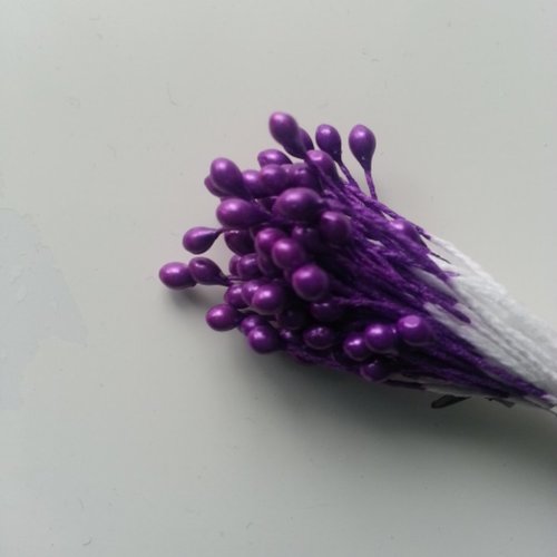 N34 lot de 10 pistils  , étamines 3mm violet