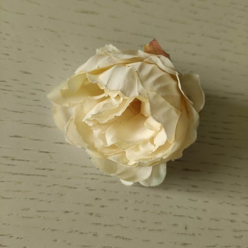 Fleur tissu pivoine ivoire 50mm