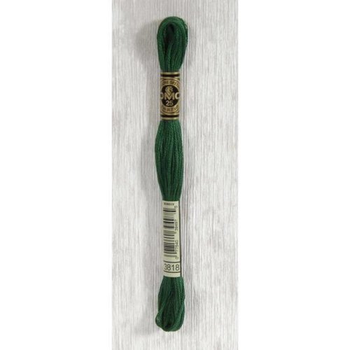 Fil mouliné dmc coloris n° 3818