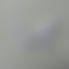 Double papillon voile et perle 60*50mm blanc