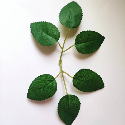 Double tige de 6 feuilles de rose artificielles vertes pour création de fleurs artificielles