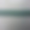 1 metre de ruban  bicolore vert   10mm