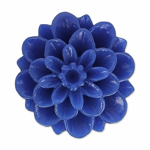 le dahlia bleu