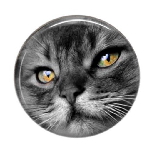 Cabochon rond résine 25mm chat en noir et blanc 11