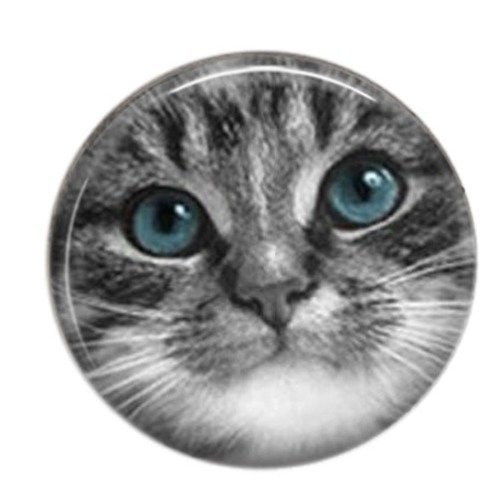 Cabochon rond résine 25mm chat en noir et blanc 12