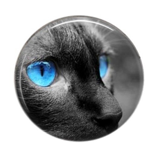 Cabochon rond résine 25mm chat en noir et blanc 14