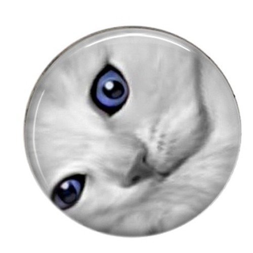 Cabochon rond résine 25mm chat en noir et blanc 15