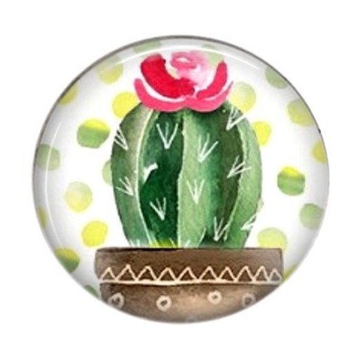 Cabochon rond résine 25mm cactus 07