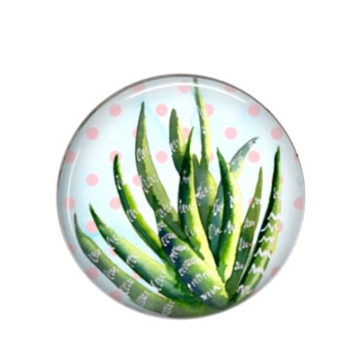 Cabochon rond résine 20mm cactus 21