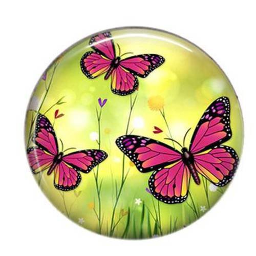 Cabochon résine papillon rond 25mm 25 