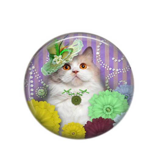 Cabochon rond résine 25mm chat et chapeau 23 