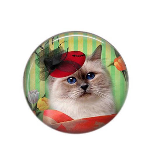 Cabochon rond résine 25mm chat et chapeau 22 