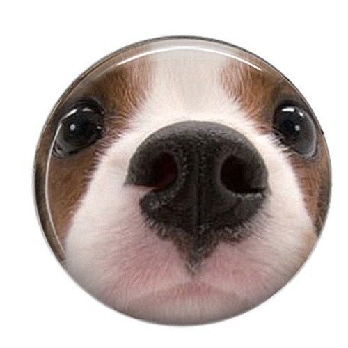 Cabochon rond résine 25mm chien 13 