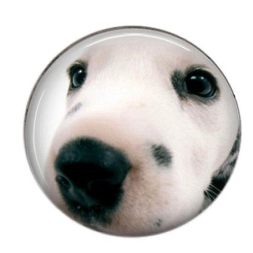 Cabochon rond résine 25mm chien 11 