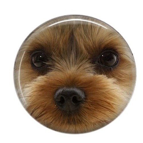 Cabochon rond résine 25mm chien 10 