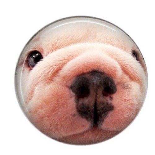 Cabochon rond résine 25mm chien 09 