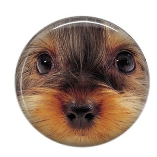 Cabochon rond résine 25mm chien 03 