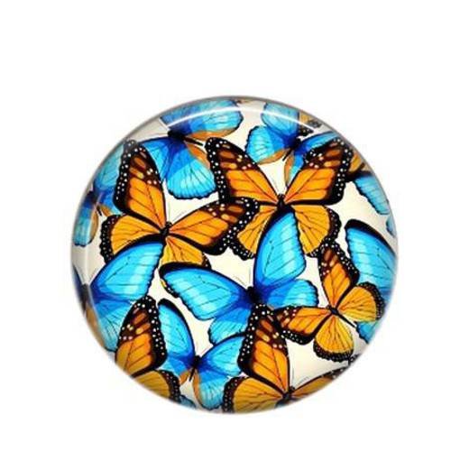 Cabochon résine 25mm rond papillons bleus et orange div-03 