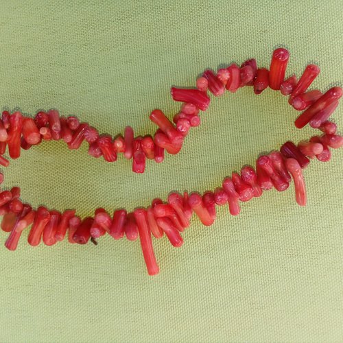 Bracelet-corail, 20cm