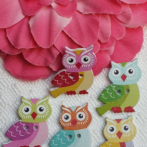 5 boutons hibou chouette 28x24x2.5mm mixte bois