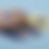 5 cabochons étoile de mer jaune nacré 18.8mm résine épaisseur 2.4mm