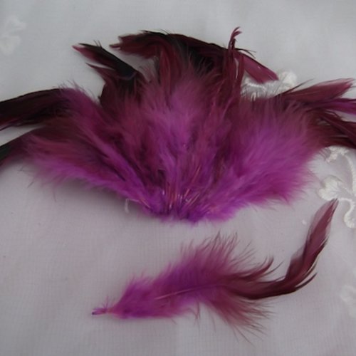  lot de 10 plumes bordeaux violet de 6 à 14cm environ