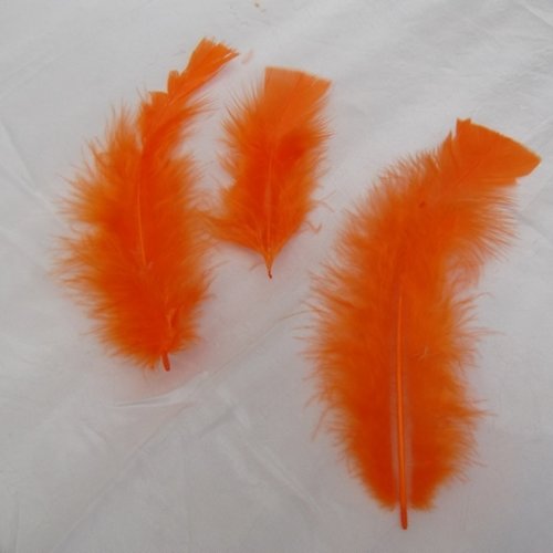 Lot de 10 plumes orange de 11 à 13cm environ