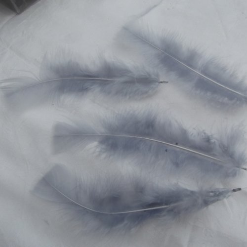 Lot de 10 plumes grise de 11 à 13cm environ