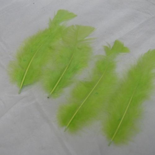Lot de 10 plumes verte anis de 11 à 13cm environ