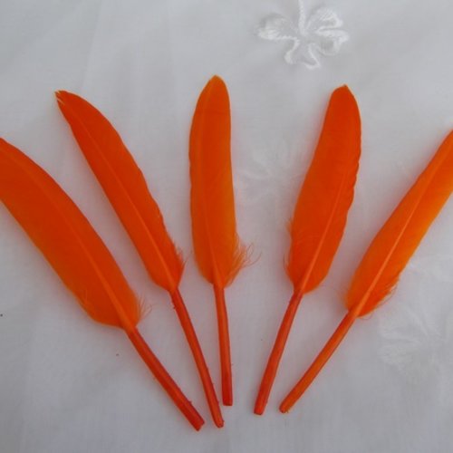 10 plumes orange de 10 à 14cm environ
