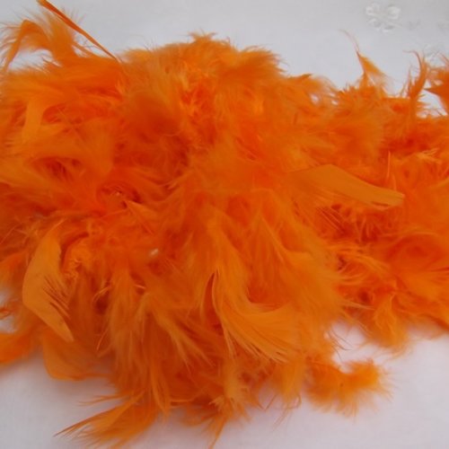  boa  plume orange 1.90cm à 2 mètres environ