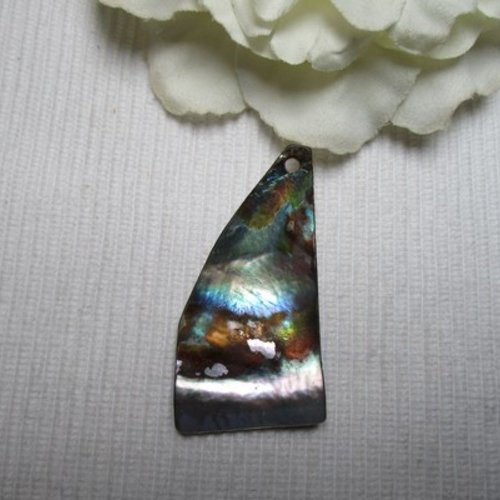 1 pendentif coquillage nacre naturel 5.4x2.8cm multicolore 